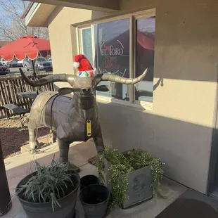 No bull, best tacos!