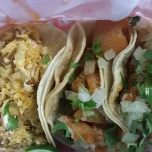 Chorizo, egg, potato taco &amp; Chicharrones tacos on corn tortillas