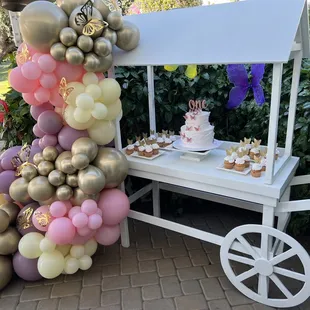 Butterfly cake and cupcake