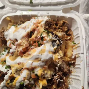 Fries under carnitas