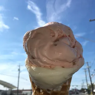 Piñón ice cream on top and coconut on the bottom.