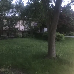 We buy houses for cash in any condition