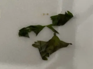 Heather's Street Food