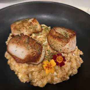 Scallops with chorizo risotto