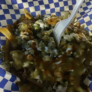 Birria Fries