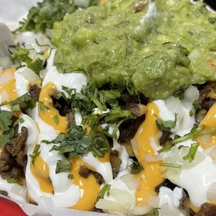 Carne asada fries