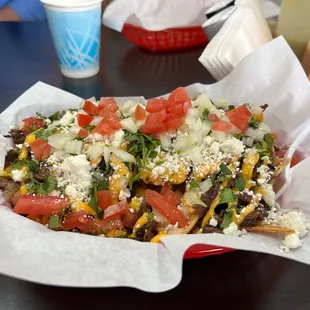 Asada Nachos (Half size)