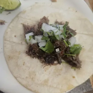 A screwed up Barbacoa taco