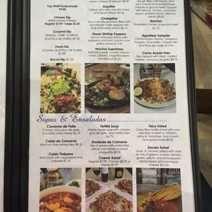 Appetizers and Soups &amp; Salads