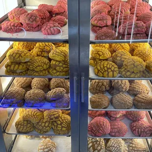 Mexican Conchas!