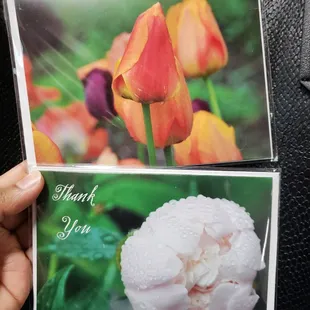 Locally made and photographed greeting cards. Blank inside. $3 each