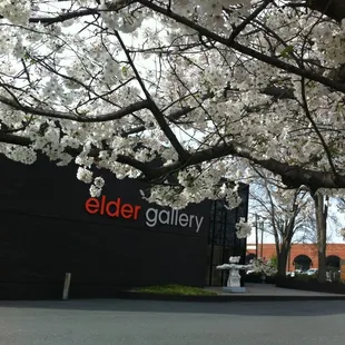 Spring at Elder Gallery is a real treat! Flowers and trees abound.