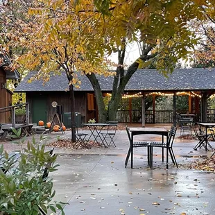 The patio after a rain. As weather permits, the Terrace menu can be served here. Or begin here and move indoors for our prix fixe dinner.