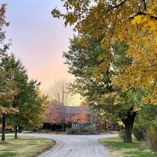 The entrance to Elderslie Farm.