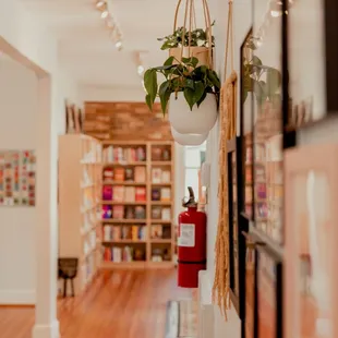 a long hallway with a planter hanging from the ceiling