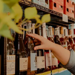 a woman selecting a bottle of wine