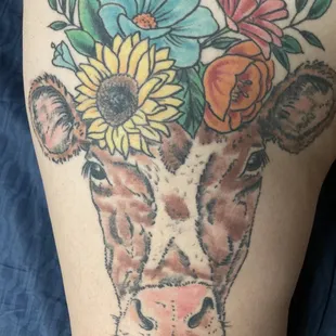 Healed cow tattoo