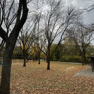 Plenty of peaceful space along the walking path.