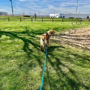Edge of sand volleyball court