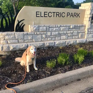 Dog friendly (so long as your pet is on leash and under control at all times).