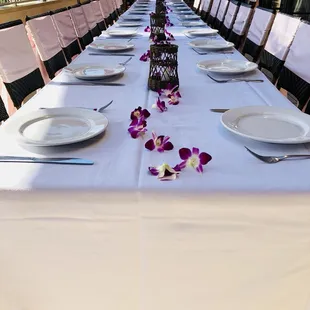 Simple pink sashes on wicker chairs adds a sweet touch for today's wedding at Tiki's Grill and Bar.