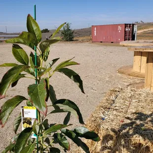 Phase one is ready to go!