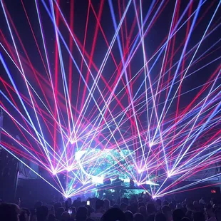 a large crowd of people at a concert