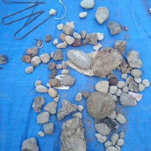 Sample of 1 bucket of random stuff found in our "walk on bark" for our kids playground area.