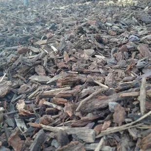 Walk on bark, what they have when you ask for playground bark.