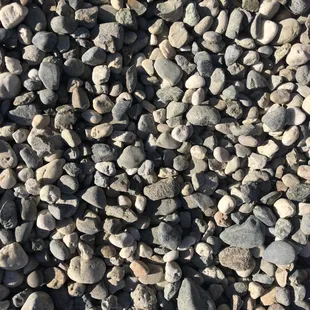 Black and White 1.5" - Sold by the yard or bag.