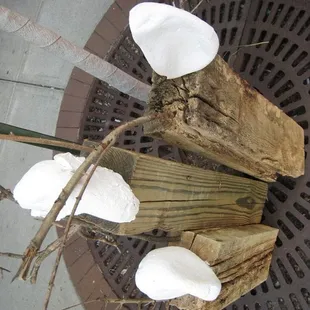 Works by Roman Czech