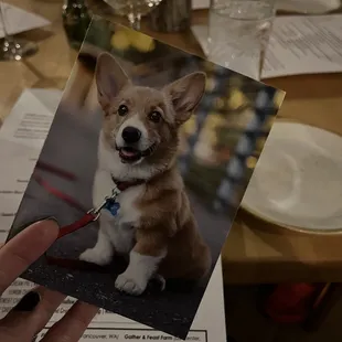 A birthday card from Elements to my father-in-law