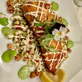 Salmon