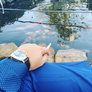 RichieRichKB T.