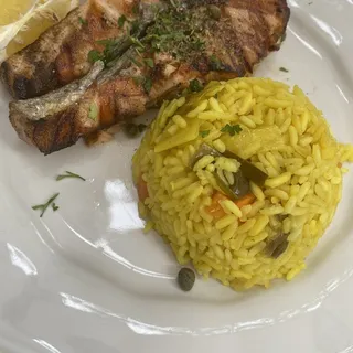 Salmon