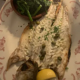 Brocolli Rabe