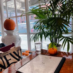 Elephants &amp; Pumpkins