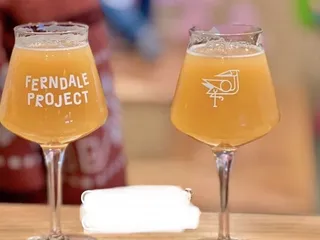 Ferndale Project