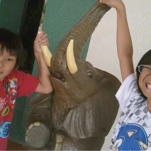 kids with the elephant @ the inn