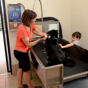 happy at the dogwash