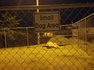 Carol Wheeler Dog Park