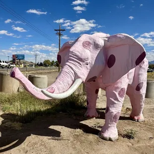 Pink Elephant statue