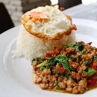Chicken basil Over Rice
chicken with basil, bell peppers and garlic served over rice with a Sunny-side fried egg on top.