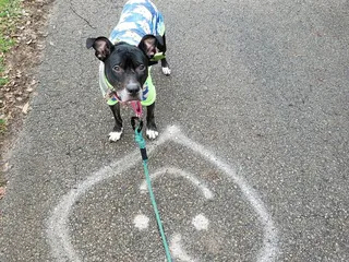Whetstone Community Recreation Center