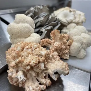 Local Shrooms