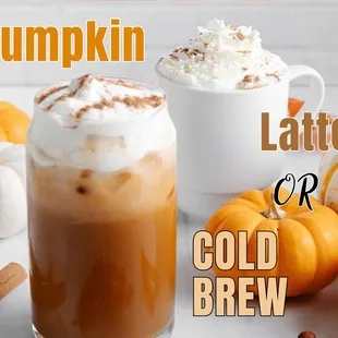 pumpkin latte or cold brew