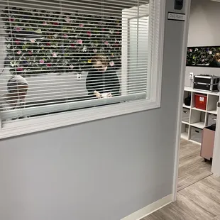 Daily room for traveling business