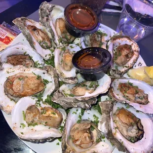 Oysters