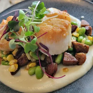 Scallops