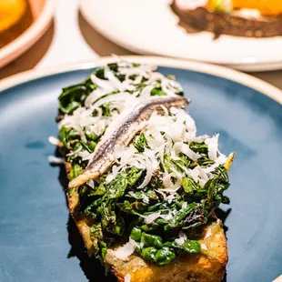 Lacinato Kale